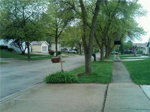 View on my block in Bolingbrook, IL
