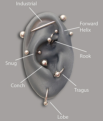 Ear Piercing Location Helix Cartilage Industrial Rook Daith Tragus Snug Conch Anti-Tragus