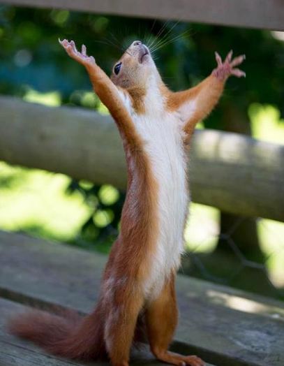 Praise is the Appropriate Response to Such a God as Ours