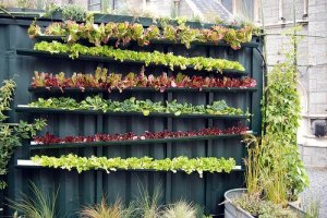 Garden idea 2 (Salad garden in gutters)