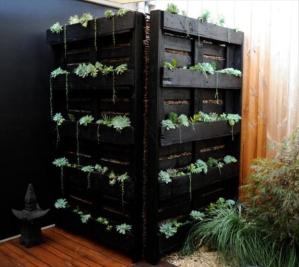 Indoor or outdoor pallet garden.