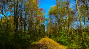 New England Bike Path