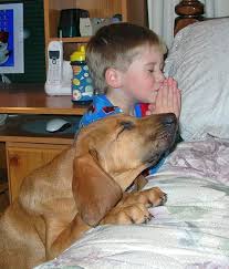 Boy and His Dog Praying