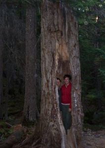 Is the Church In America Like a Hollow Cottonwood  (It's strength is an illusion)