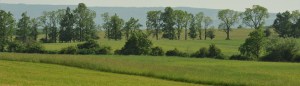 Image, The Land and Garden (slide_protect_your_land)