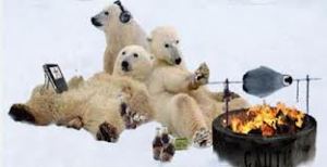 polar bears griling