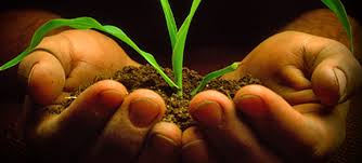 church planting hands