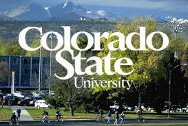 Colorado State