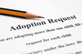 Adoption 2