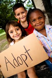 adoption 3