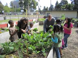 community gardens