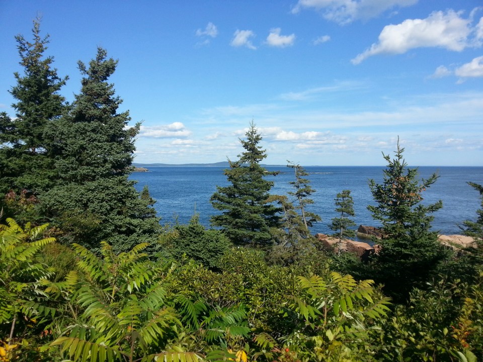 Bar Harbor from the top