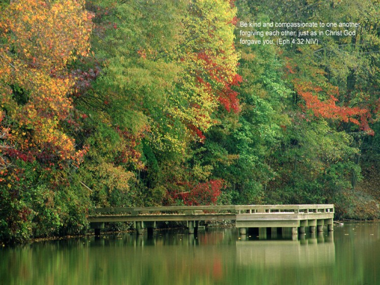 Changing the Texture of Public Debate