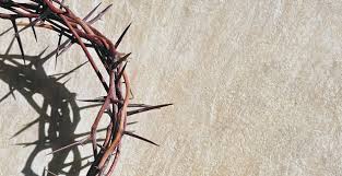 Crown of Thorns