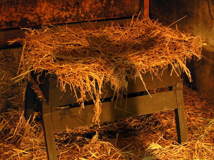 Worship at the Manger 3