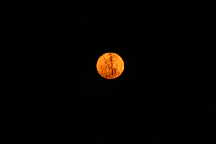 Last Night full moon