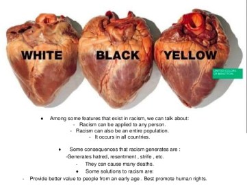 Racism 1