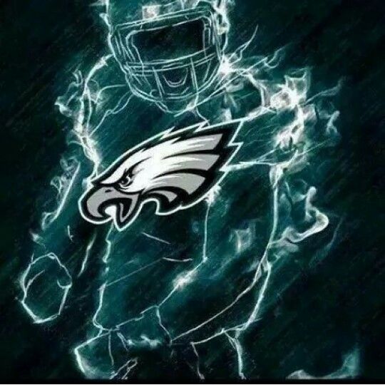 Fly Eagles Fly