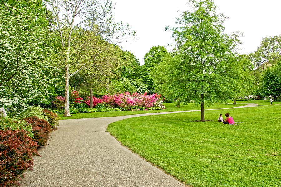 Azalea Garden - philly 5