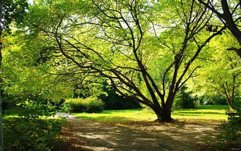 This image has an empty alt attribute; its file name is spring-day-1.jpeg